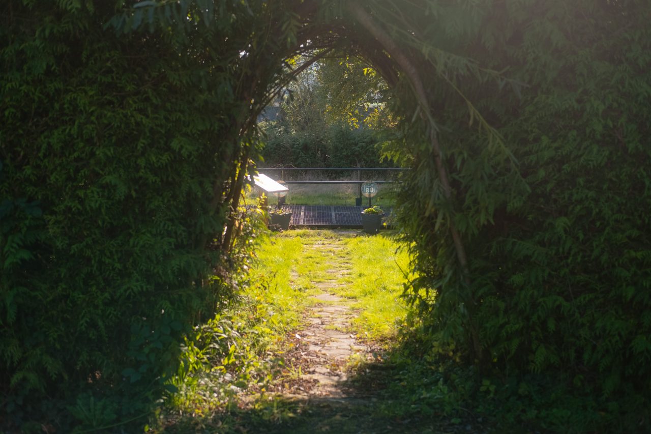 Llun o dwll gwyrdd naturiol wedi'i wneud o goed, llwyni, canghennau, a phlanhigion. Agor i gerddi coffa'r milwyr yn Ysbyty Bronllys.